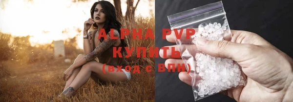 ECSTASY Абаза