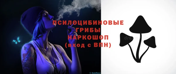 гашик Алексеевка