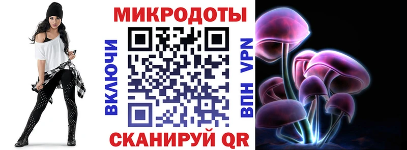 Псилоцибиновые грибы GOLDEN TEACHER  где найти наркотики  Шенкурск 