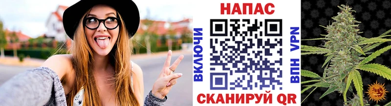где можно купить   Шенкурск  kraken сайт  Бошки Шишки тримм 